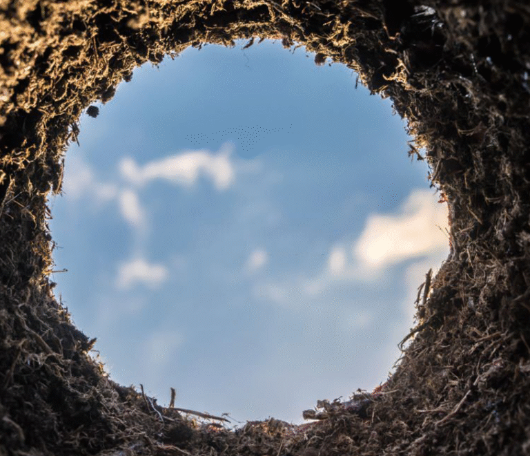 WHY THE WORLD IS DUE TO BE DESTROYED